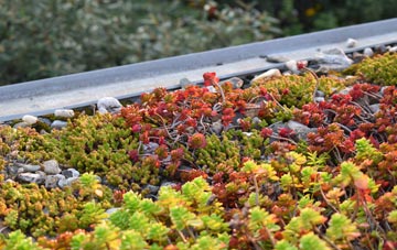 the cost of Pen Y Park green roof installation